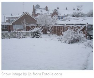 Wilkshire Enterprises_Snow Driveway