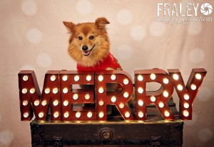 Fraley Memory Productions_Holiday2