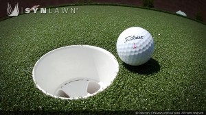 SYNLawn_Hole