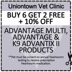 uniontown vet_flea coupon