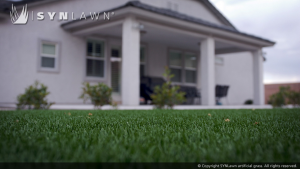 SYNLawn_Lawn