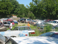 Canton Auto Salvage_Scrap Cars