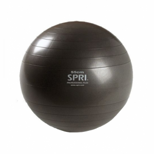 PFS_Exercise Ball