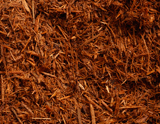 Savarino_Cypress Mulch