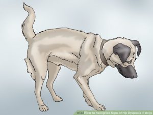 www.wikihow.com